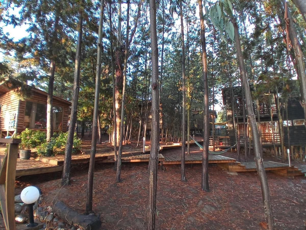 Lodge Terra Mar Pichilemu Exterior foto